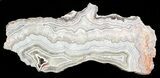 Polished, Crazy Lace Agate Slab - Mexico #60987-1